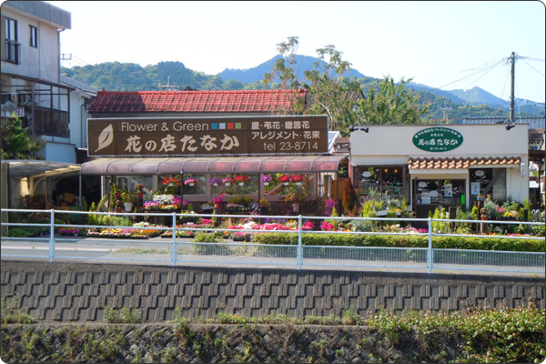 �֤�Ź���ʤ�