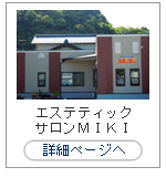 �����ƥ�����miki