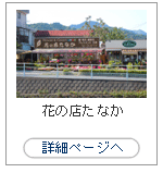 �֤�Ź���ʤ�